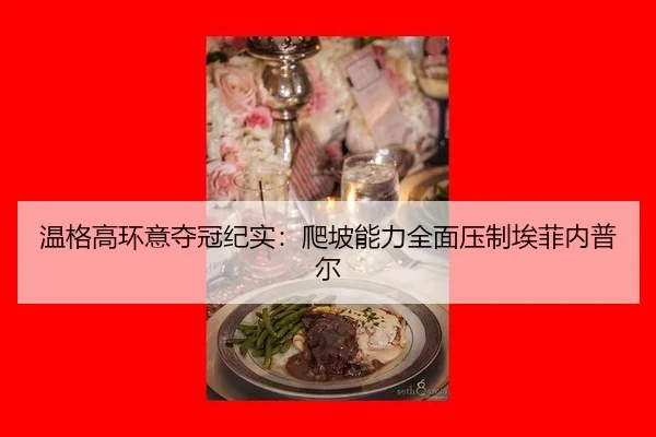 wen-ge-gao-huan-yi-duo-guan-ji-shi-pa-po-neng-li-quan-mian-ya-zhi-ai-fei-nei-pu-er-3-747.jpg